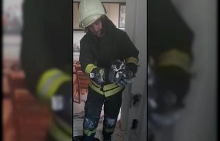 Havalandırma borusuna mahsur kalan yavru kedi duvar...