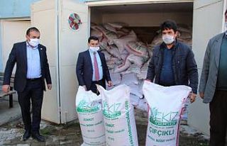 "Hayat eve tohum toprağa sığar"