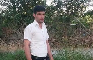 Hayvanlar köye yalnız dönünce acı olay ortaya...