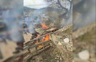 Hindistan Pakistan arasında çatışma: 3 ölü,...