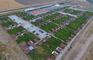 Hobi bahçelerinin bakımına tek kişilik müsaade