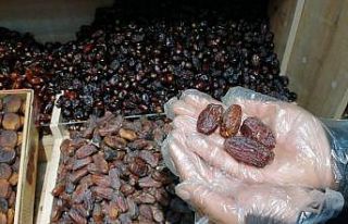 Hurma fiyatları aynı kaldı, vatandaşın ilgisi...
