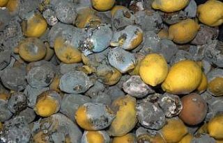 İç piyasaya sürülmeyen limon çürüyor