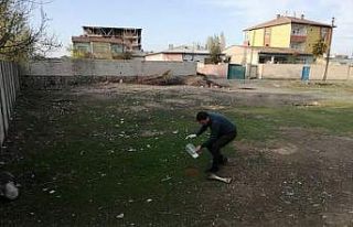 Iğdır’da sokak hayvanları için yem ve su bırakıldı