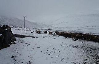 Iğdır’ın yüksek kesimlerine Nisan ayında kar...