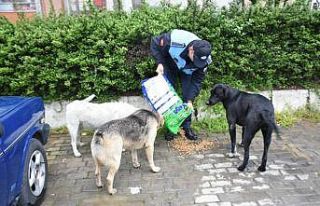 İncirliova Belediyesi can dostlar için mama bırakıyor
