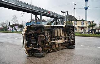 İneğe çarpmamak için manevra yapan minibüs devrildi