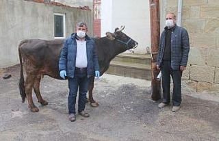 İneğini "Milli Dayanışma Kampanyası"na...