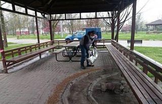 İnegöl Belediyesi sokak hayvanlarını yalnız bırakmıyor