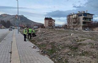 İpekyolu Belediyesinden bahar temizliği