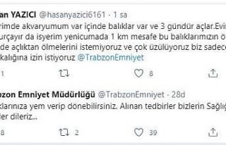 İş yerinin akvaryumundaki balıklarına yem vermek...