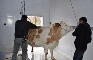 İskilip Belediyesi “Korona virüs”ün defi için...