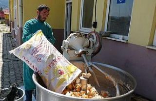 Isparta’da sokak hayvanları için yemekhane kuruldu
