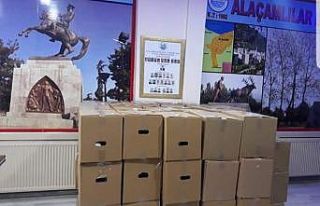 İstanbul Alaçamlılar derneğinden 350 yardım kolisi