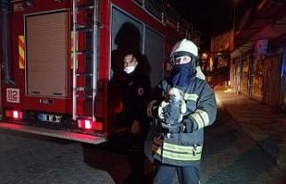 İtfaiye ekipleri balkonda mahsur kalan yavru köpek...