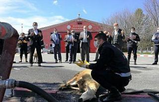 İtfaiye erleri korona virüse karşı kurban kesip...