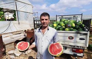 İthalatı duran karpuzda talep yerli üreticilerin...
