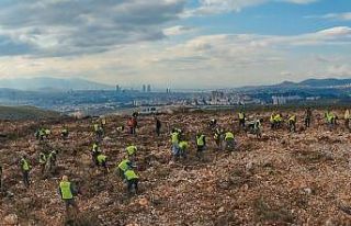 İzmir’e 10 yılda 28 milyon adet fidan