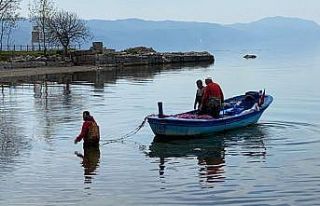 İznik Gölünde gümüş balığı bereketi