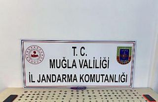 Jandarmadan tarihi eser operasyonu