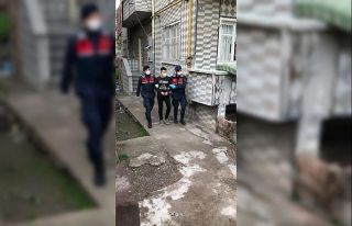 Jandarmadan terör operasyonu: 1 gözaltı