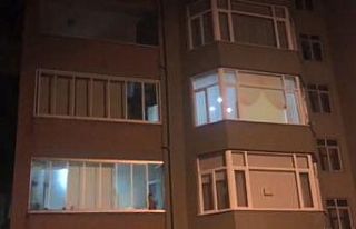 Kadın cinayetine kurban giden Gamze Pala için ses...