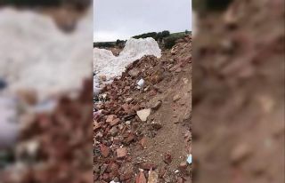 Kafası konserve kutusuna sıkışan yavru köpeğin...