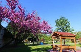 Kağıthane’de baharın renk cümbüşü