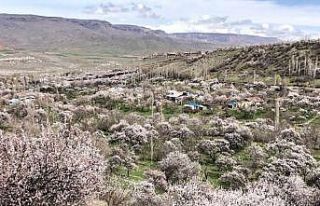 Kağızman beyaza büründü