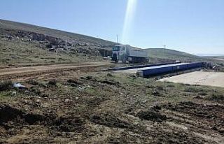 Kaman ilçesinde 300 aşılı ceviz fidanı toprakla...