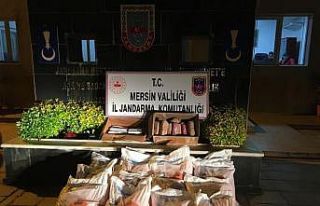 Kamyonette 20 kilo dinamit ele geçirildi