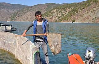 Karadere Barajında her geçen gün balık üretimi...