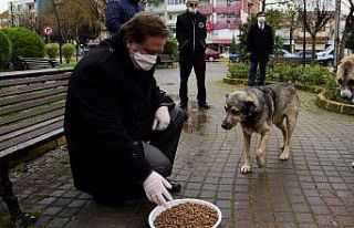 Karesi Dost elini uzatıyor
