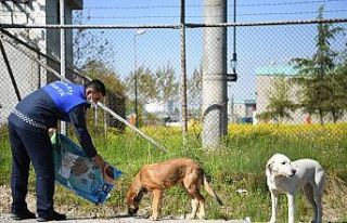 Kartepe’de sokak hayvanları unutulmuyor