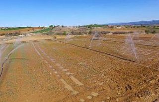 Kastamonu’da sulu tarımla ekonomiye 290 milyon...