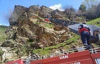 Kayalıkta mahsur kalan keçi itfaiye tarafından...