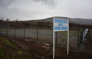 Kaymakam Sancaktutar, geçici hayvan barınağında...