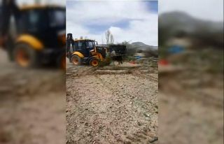 Kayserili çiftçi 200 kayısı ağacını don vurunca...