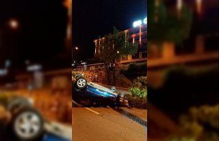 Kediyi ezmemek için ağaca çarptı