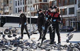 Kentin ’güvercinleri’ de onlara emanet