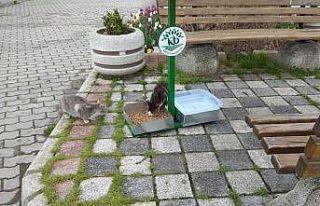 Kepsut Belediyesi can dostlarını unutmadı