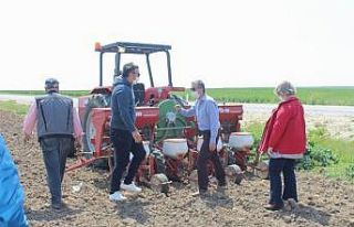 Kırklareli’de Soya Demonstrasyonu çalışması