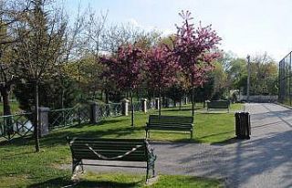 Kısıtlama sonrasında Eskişehir’den örnek görüntüler