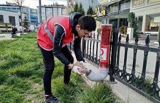 Kızılayın genç gönülleri aç kalan sokak hayvanlarına...