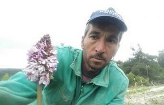 Koparmanın cezası 72 bin lira olan bitkiyle selfie