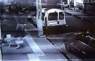 Köpeği kediye saldırttı, kedinin yuvasını tekmeledi