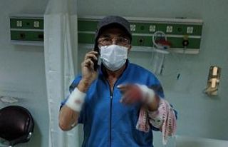 Köpek, sahibini hastanelik etti