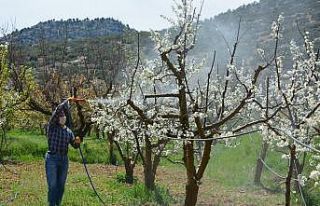 Korkuteli kurallara uydu, ihtiyaçlar eve servis edildi