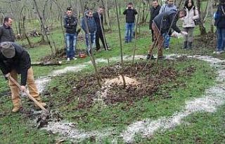 Korona virüs fındık ihracatını engelleyemedi