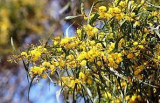 Korona virüs nedeniyle boşalan Atakum sahilinde...